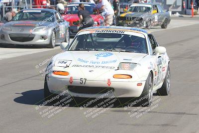 media/Oct-15-2023-Lucky Dog Racing Chuckwalla (Sun) [[f659570f60]]/1-Around the Pits-Driver Changeovers-Awards/